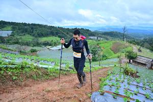 BIB: 
                            <button type="button" onclick="openModal(13378770)" class="btn btn-primary btn-sm float-right btn-popup" data-toggle="modal" data-target=".modal-high-quality">
                        <i class="fas fa-shopping-cart"></i> Add to Cart
                    </button>
                                            <button type="button" onclick="isThisMe(13378770, true)" class="btn btn-success btn-sm float-right btn-popup btn-isme hidden" data-toggle="tooltip" data-placement="bottom" title="นี่คือรูปของคุณใช่ไหม คลิกที่นี่เพื่อเอาเข้าอัลบั้ม">
                        <i class="fas fa-plus"></i> Add to album
                    </button>
                    <button type="button" onclick="isThisMe(13378770, false)" class="btn btn-warning btn-sm float-right btn-popup btn-isnotme hidden">
                        <i class="fas fa-ban"></i> Remove from album
                    </button>